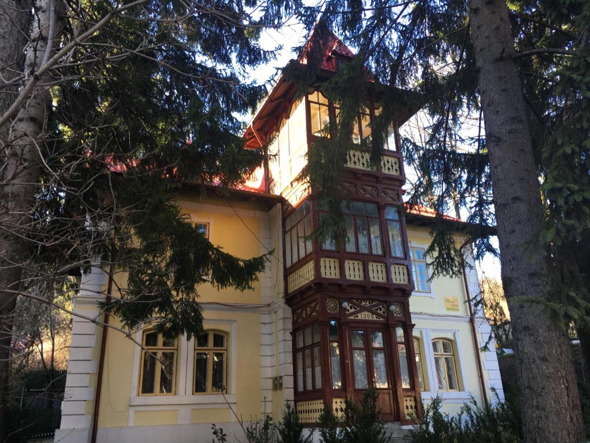 Vila Flavia Sinaia Ngoại thất bức ảnh