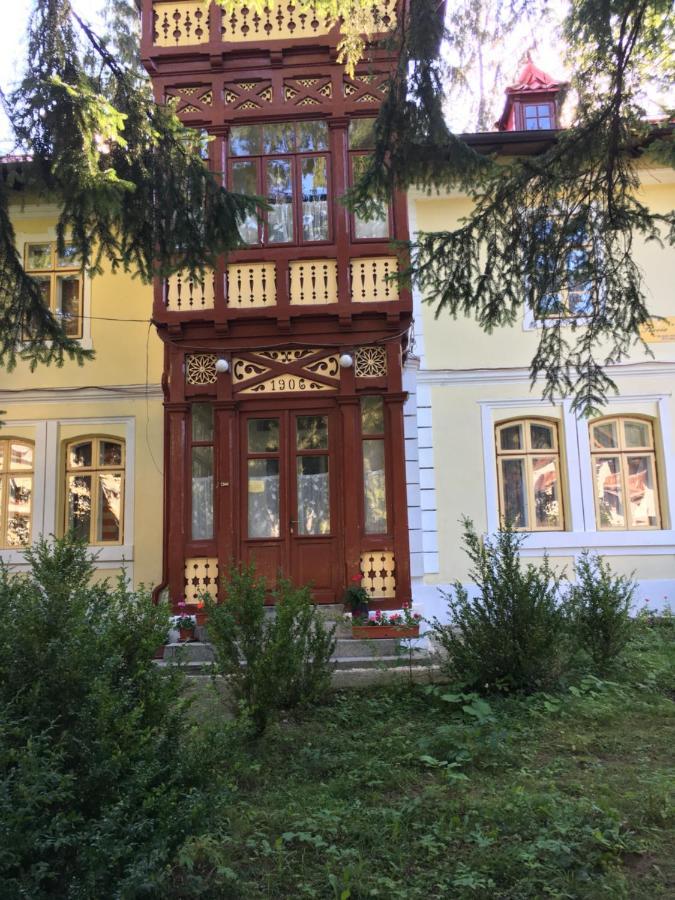 Vila Flavia Sinaia Ngoại thất bức ảnh