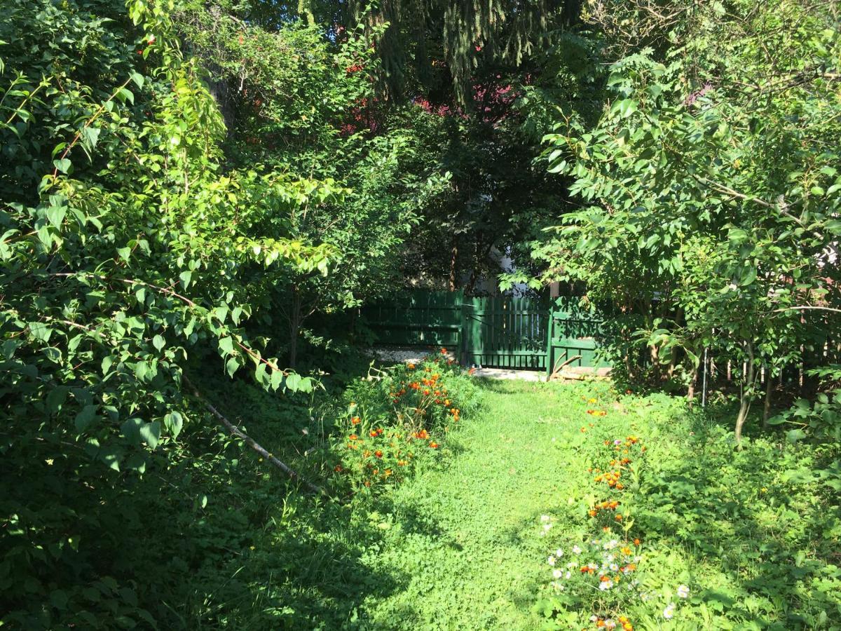 Vila Flavia Sinaia Ngoại thất bức ảnh