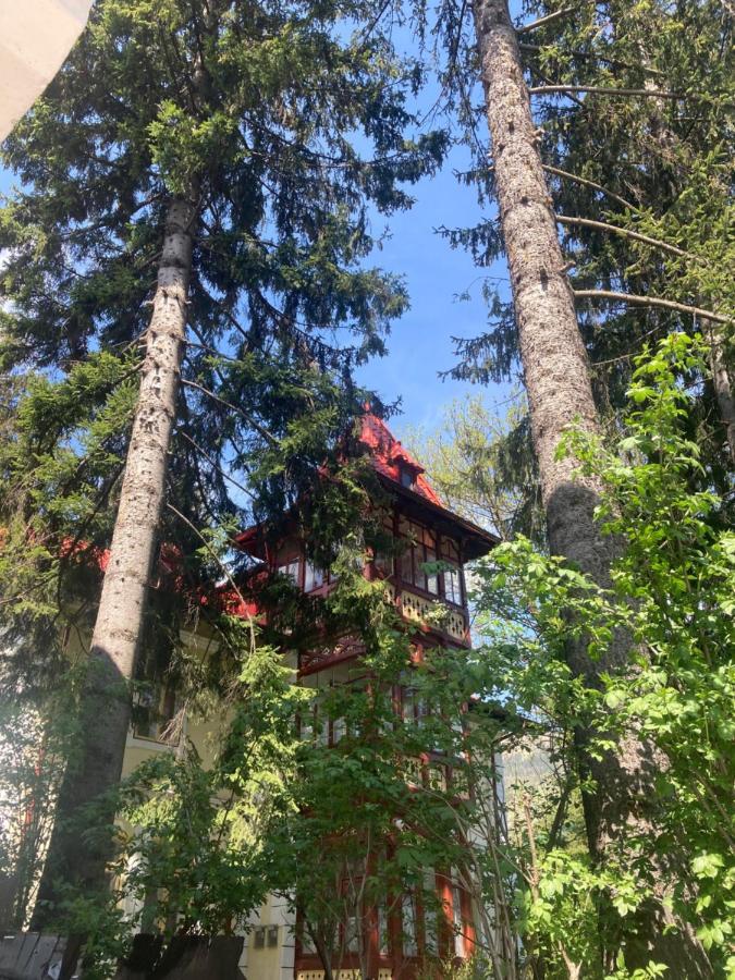 Vila Flavia Sinaia Ngoại thất bức ảnh