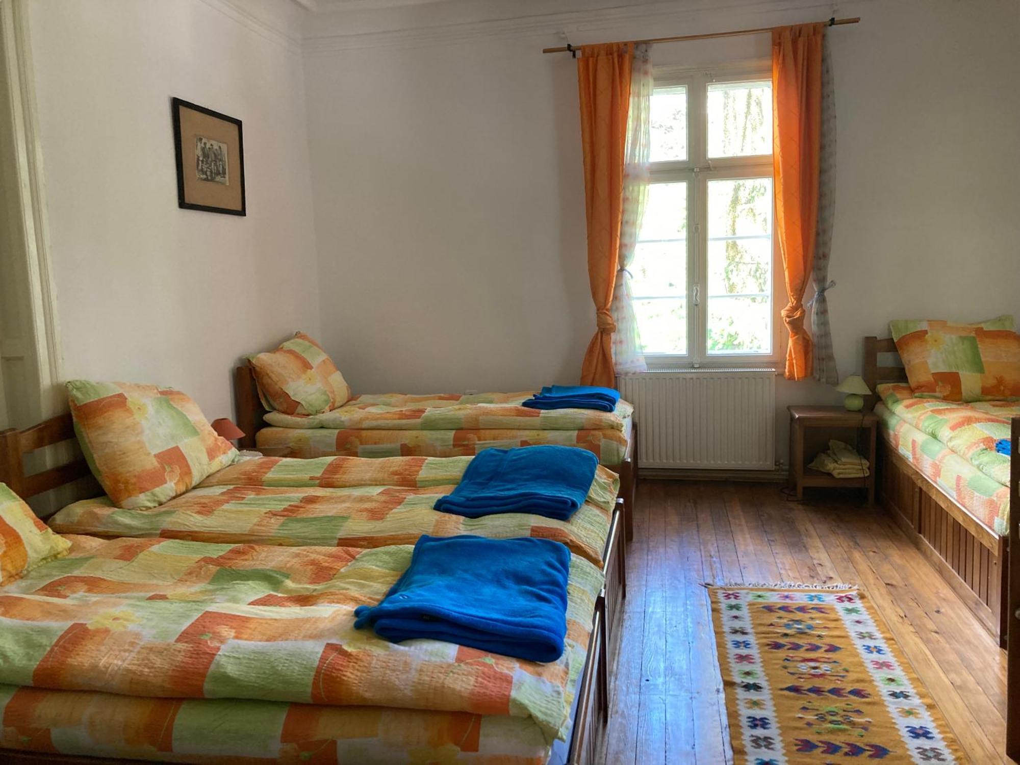 Vila Flavia Sinaia Ngoại thất bức ảnh